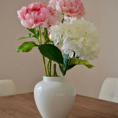 度假居 Anima E Cuore *